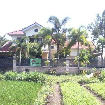 Grya Natasha Apartament Jogyakarta Zewnętrze zdjęcie