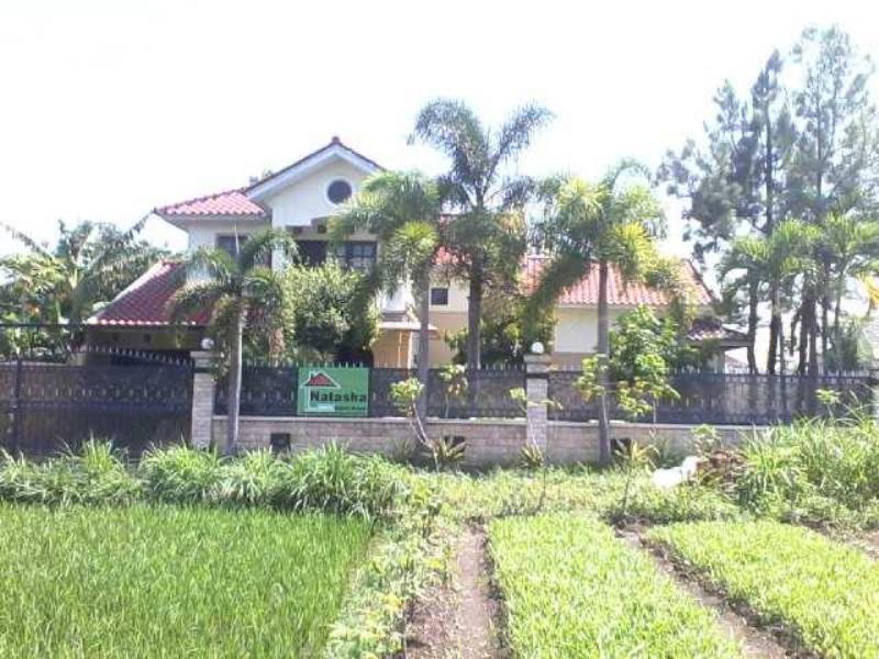 Grya Natasha Apartament Jogyakarta Zewnętrze zdjęcie
